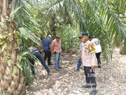 Berawal Dari Laporan Warga, Polsek Kampung Rakyat Gelar GSN Di Perlabian Dalam