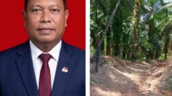 KPH V MINTA CEK KOORDINAT, Dugaan Sawit 104 Hektare di Kawasan Hutan Masih Menunggu Pembuktian