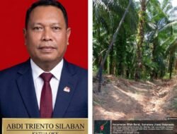 KPH V MINTA CEK KOORDINAT, Dugaan Sawit 104 Hektare di Kawasan Hutan Masih Menunggu Pembuktian