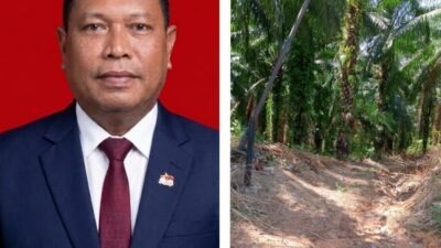 KPH V MINTA CEK KOORDINAT, Dugaan Sawit 104 Hektare di Kawasan Hutan Masih Menunggu Pembuktian