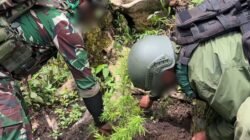 Satgas Swasembada Berhasil Ungkap Ladang Ganja di Pegunungan Bintang, Puluhan Tanaman Siap Panen Diamankan