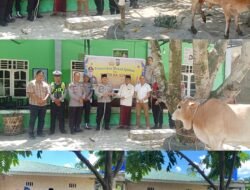 Polres Labusel Tebar Kepedulian Idul Adha 1447 H, Salurkan Hewan Qurban Kapoldasu dan Kapolres