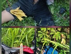 Kecelakaan Maut di Jalinsum Labusel, Pelajar SMP Tewas; Warga Soroti Lambannya Respons Satlantas