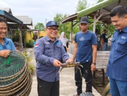 Mengenal Rencana Perlindungan dan Pengelolaan Ekosistem Mangrove Nasional 2026-2055 Dalam Peringatan Hari Mangrove Sedunia 2026