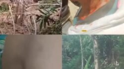 Breaking News: Anarkis Di Sumbul! Ekskavator Dibakar, 4 Orang Luka Bacok Saat Buka Jalan Tani