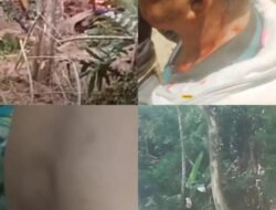 Breaking News: Anarkis Di Sumbul! Ekskavator Dibakar, 4 Orang Luka Bacok Saat Buka Jalan Tani
