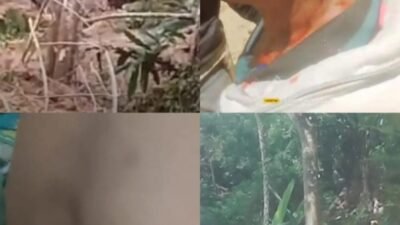 Breaking News: Anarkis Di Sumbul! Ekskavator Dibakar, 4 Orang Luka Bacok Saat Buka Jalan Tani