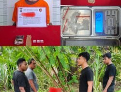 Gerak Cepat Polsek Torgamba Tindak Lanjuti Dumas Presisi, ZAS Diamankan Bersama 1,7 Gram Sabu